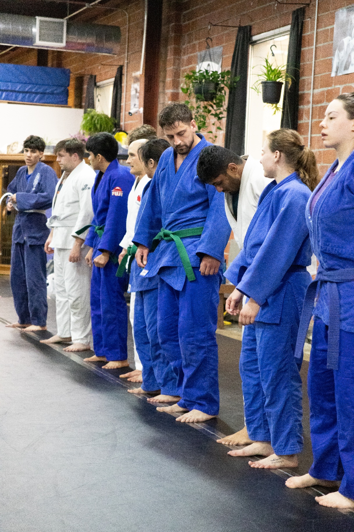 Shuhari Judo students lined up for class